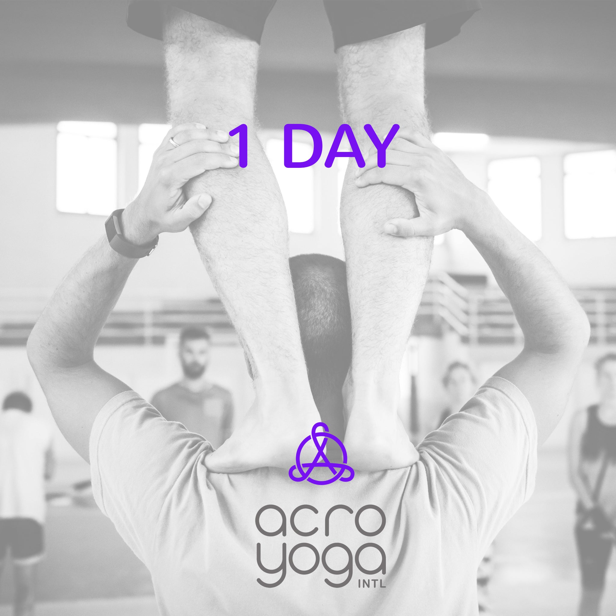 AcroYoga winterschool - 1 day