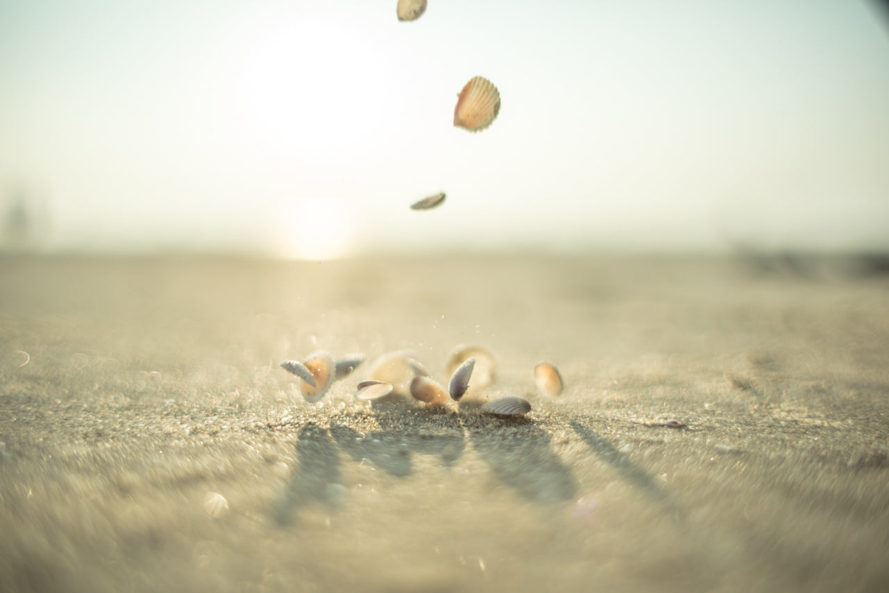 Body Centered Coaching - 4 Wochen integriertes Coaching